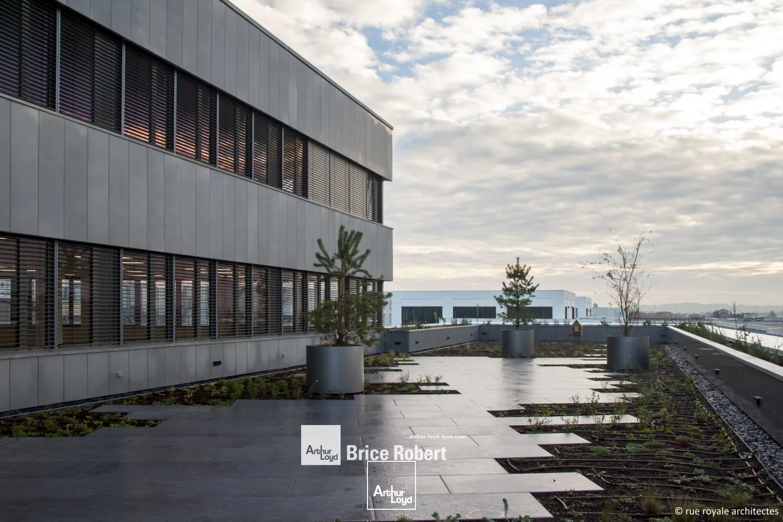 A louer - KBIS - Bureaux neufs au sein du quartier Carré de Soie - Vaulx en Velin 