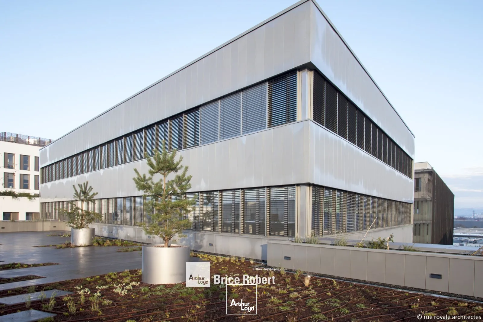 A louer - KBIS - Bureaux neufs au sein du quartier Carré de Soie - Vaulx en Velin 