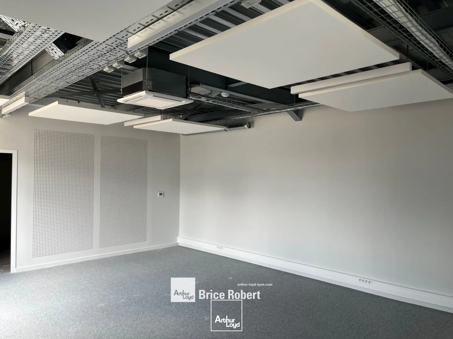 Bâtiment industriel - proche boulevard périphérique - à la location - à Vénissieux