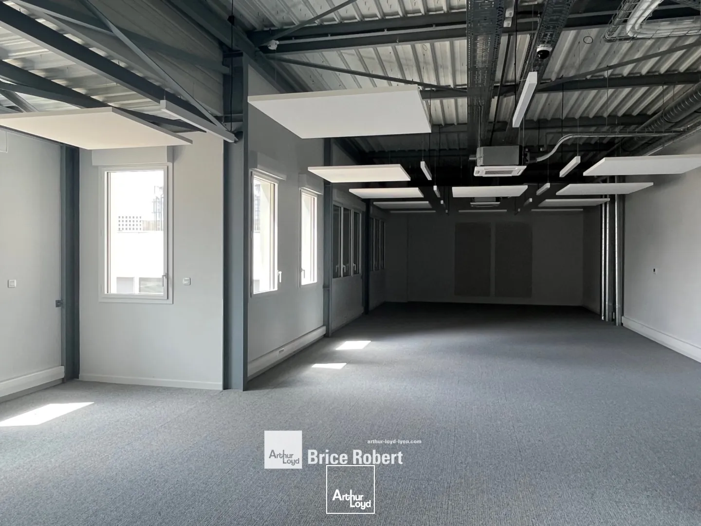 Bâtiment industriel - proche boulevard périphérique - à la location - à Vénissieux