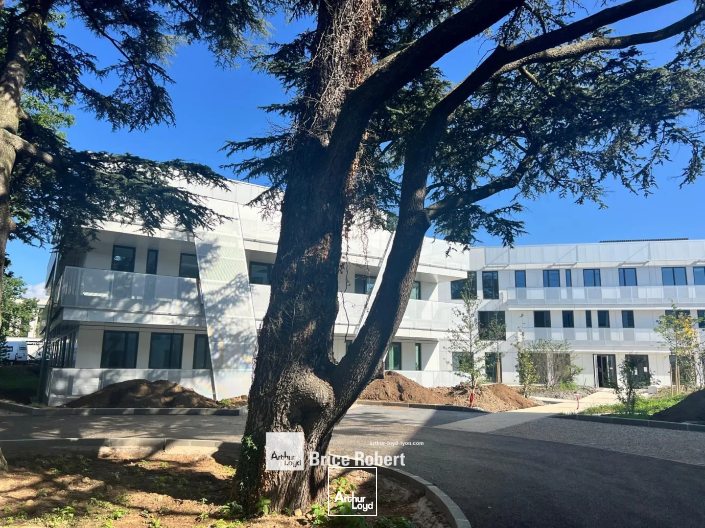 A vendre ou à louer - HELLO - Bureaux neufs avec terrasses - Limonest