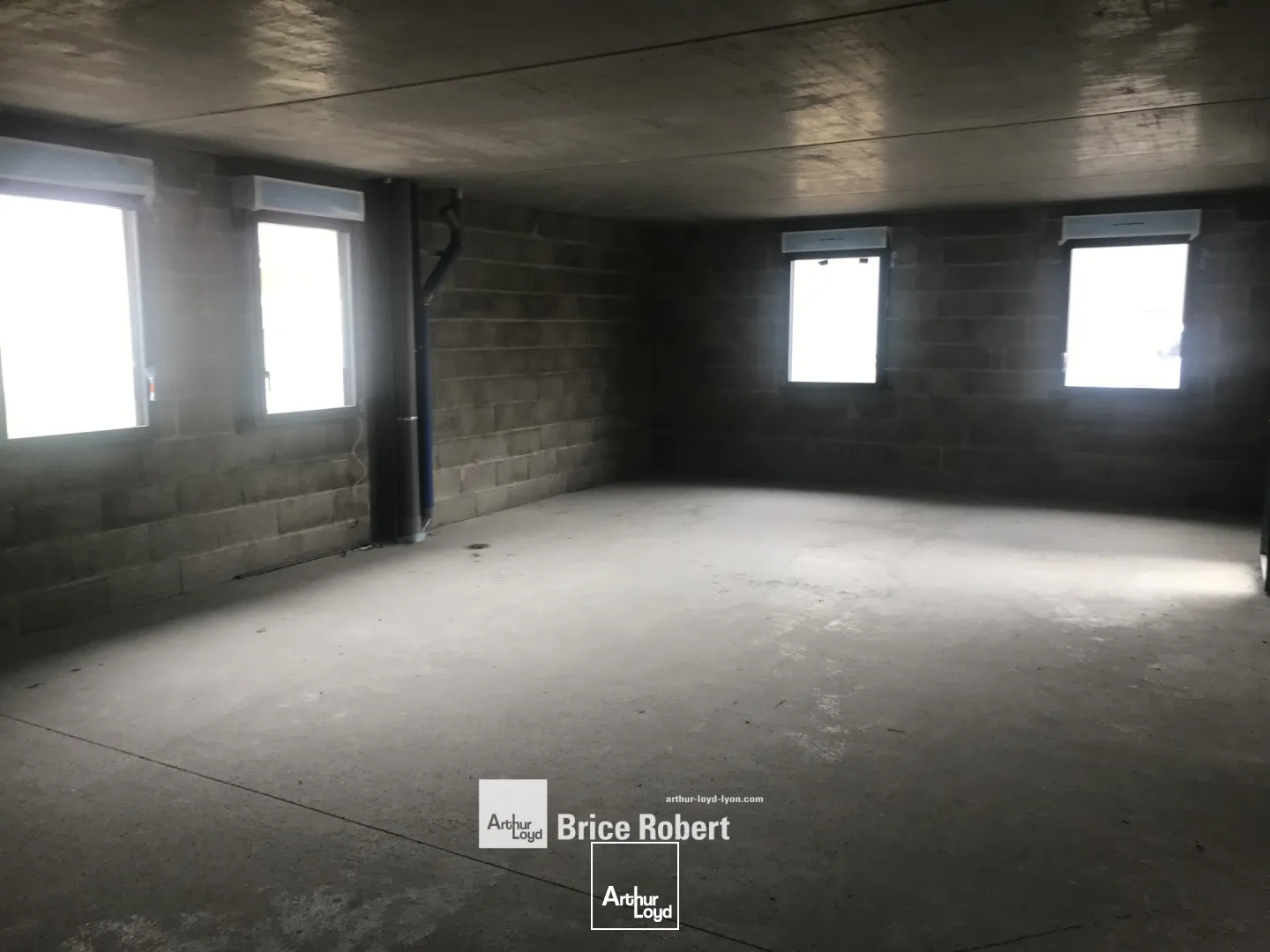 A LOUER - Local d'activités avec bureaux aménagés et porte sectionnelle 3*3.50m- à Pusignan