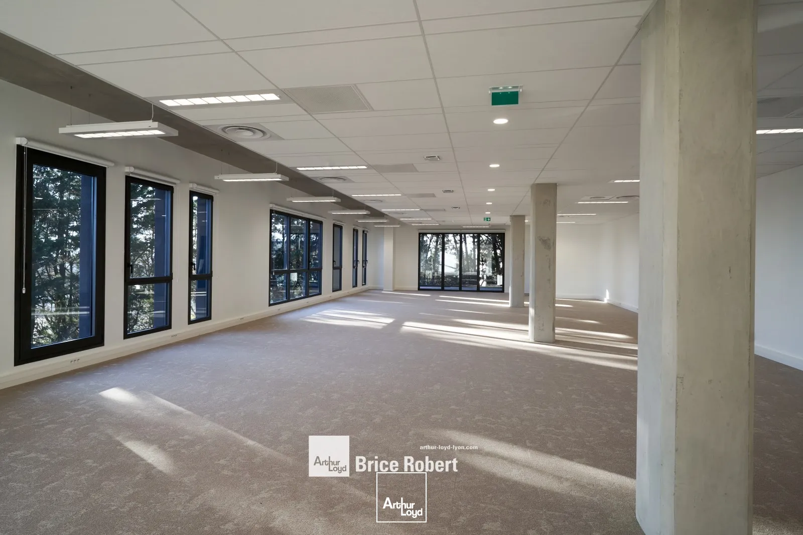 A louer - AIR 44 - Bureaux neufs haut de gamme - Dardilly