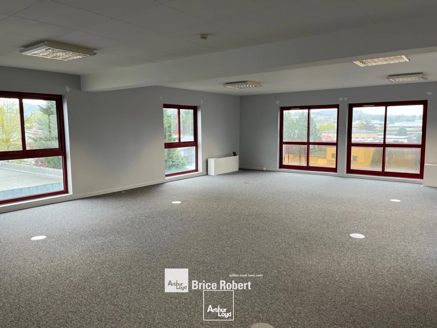 Bâtiment d'activités à louer - Techlid - Champagne au Mont d'Or