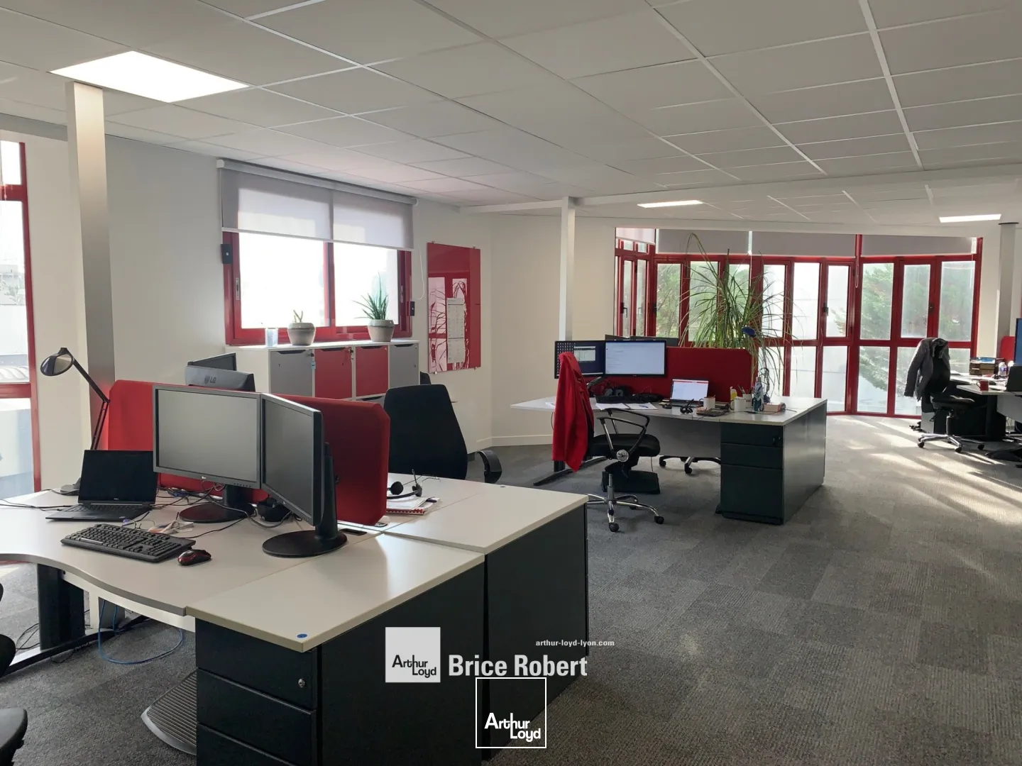 Bâtiment d'activités à louer - Techlid - Champagne au Mont d'Or