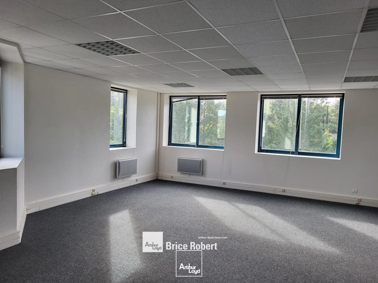 A vendre - VILLA MERCEDES - Bureaux avec des Open space - Saint Genis Laval