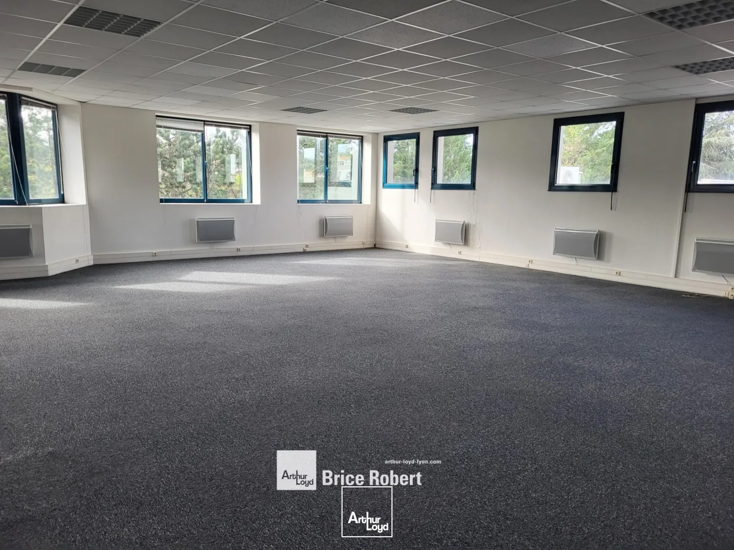 A vendre - VILLA MERCEDES - Bureaux avec des Open space - Saint Genis Laval