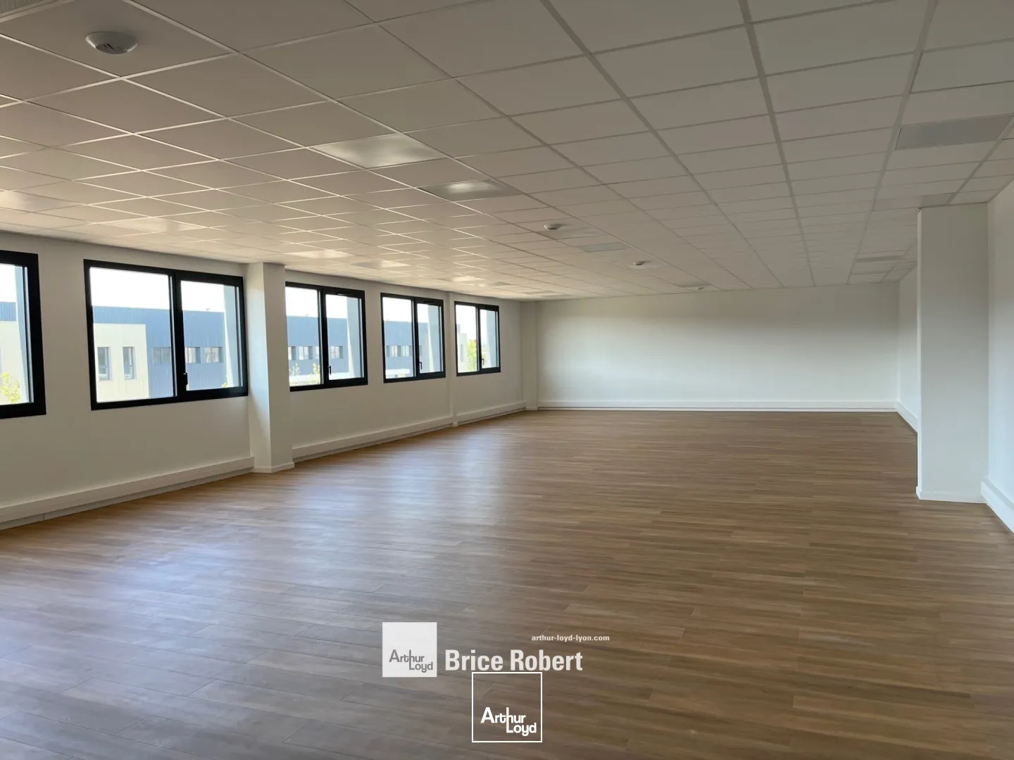 ZAC du Chanay à saint-bonnt de mure - parc d'activités - à la location