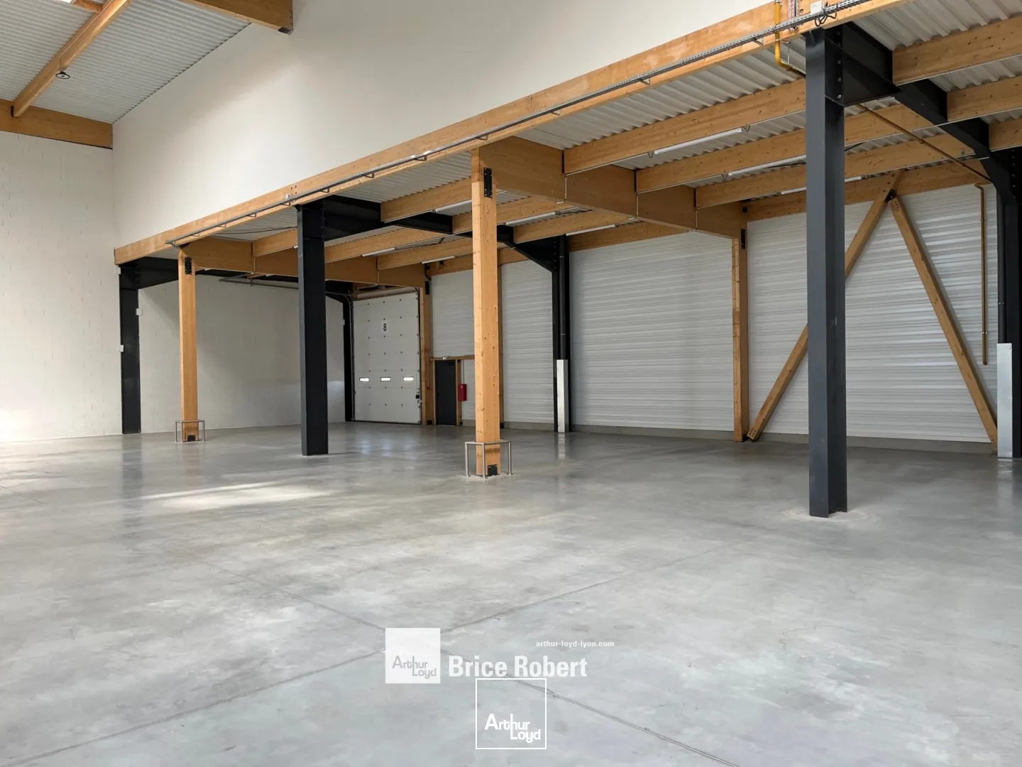 ZAC du Chanay à saint-bonnt de mure - parc d'activités - à la location