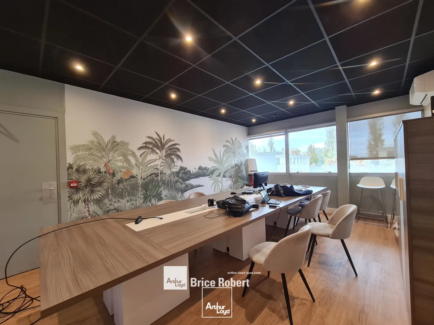 A vendre ou à louer - EUROPARC DU CHENE - Bureaux lumineux dans parc arboré - Bron