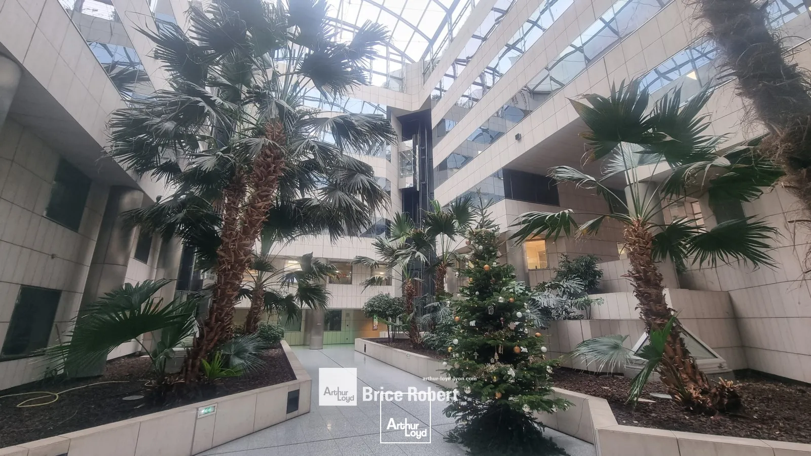 A louer - LE RHONE ALPES - Bureaux lumineux - Lyon 3ème Part-Dieu