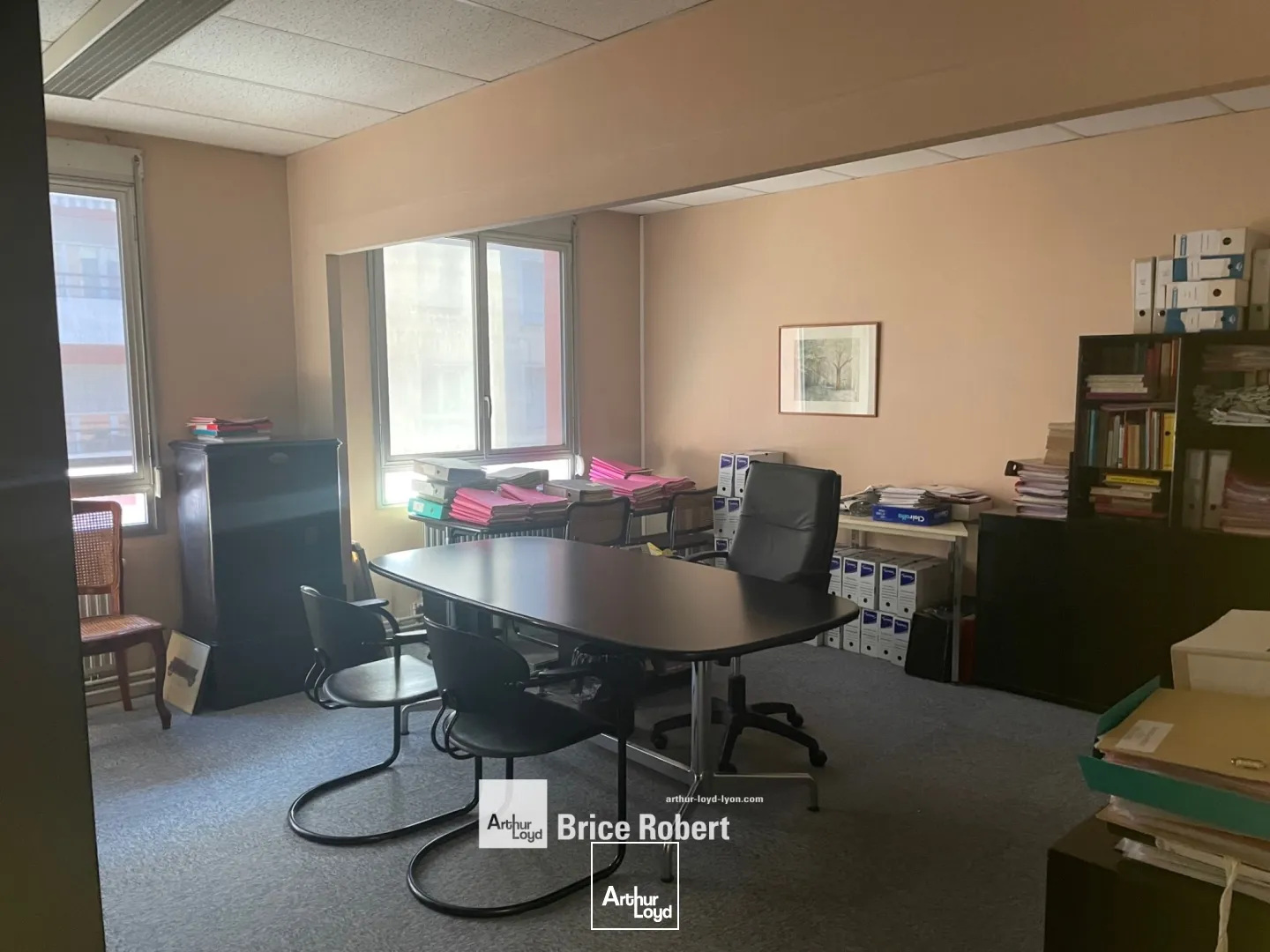 A louer - Bureaux rue de la République - Decines Charpieu