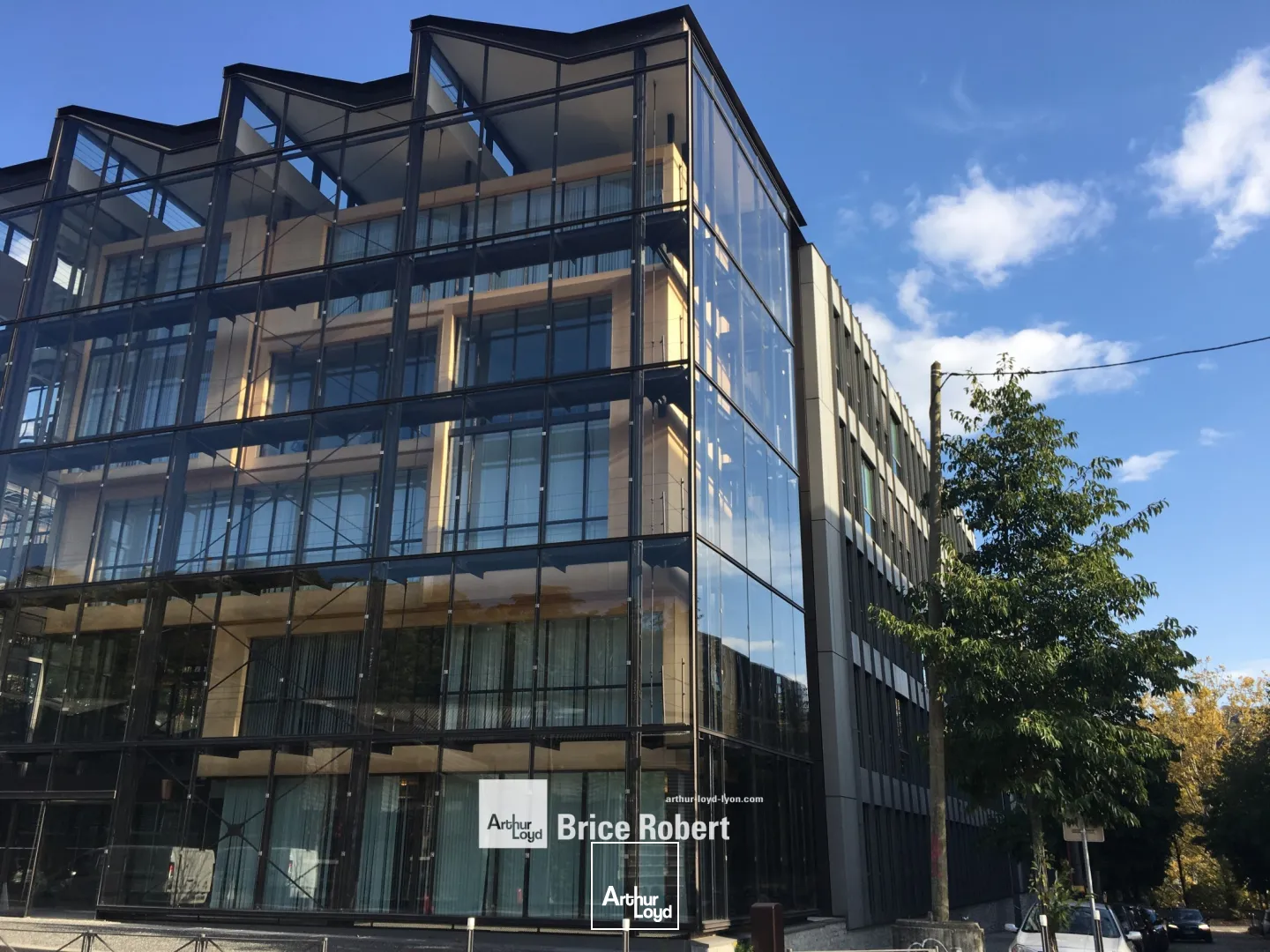 A louer - SOCONA - Bureaux avec hall arborés - Lyon 9ème Vaise 