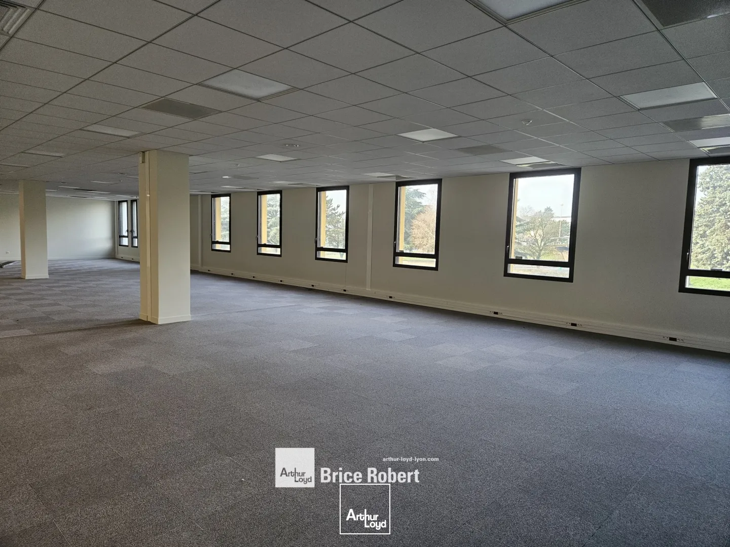 A louer - LE PARKS - Bureaux lumineux - Lyon 9ème Vaise 
