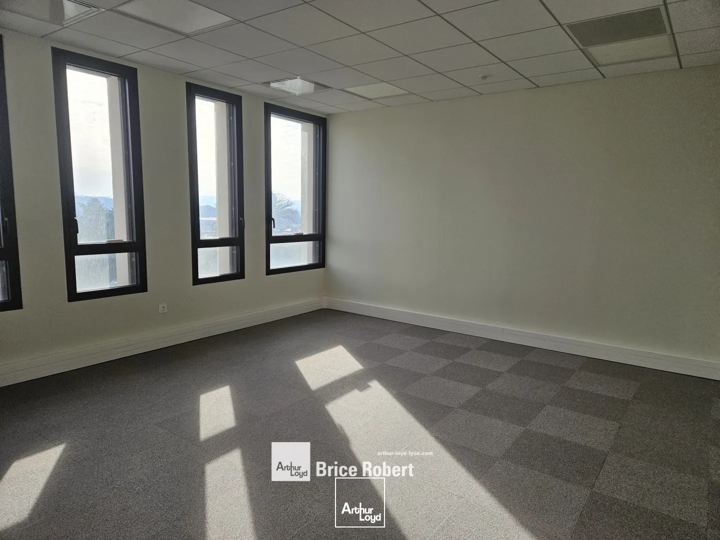 A louer - LE PARKS - Bureaux lumineux - Lyon 9ème Vaise 