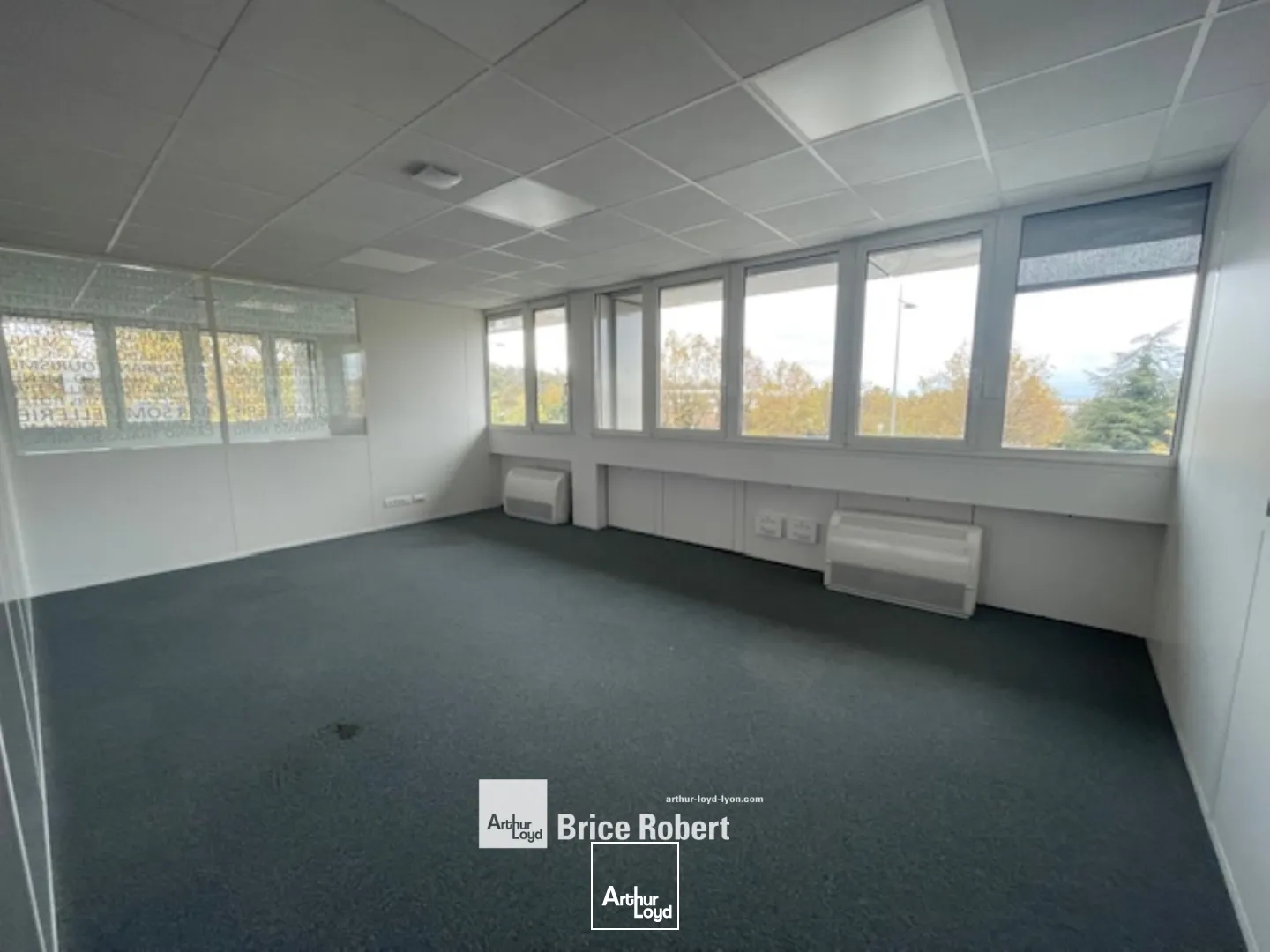 A louer -NEO - Bureaux dans le Parc de st Exupéry - Bron
