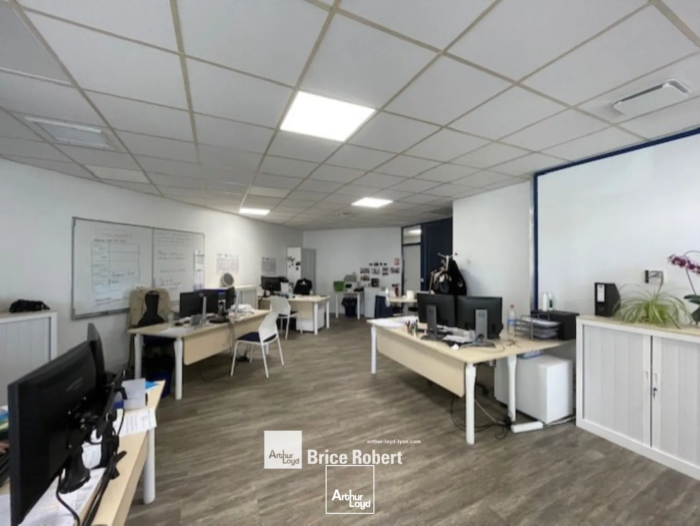 A louer - Bureaux lumineux en RDC - Villeurbanne 