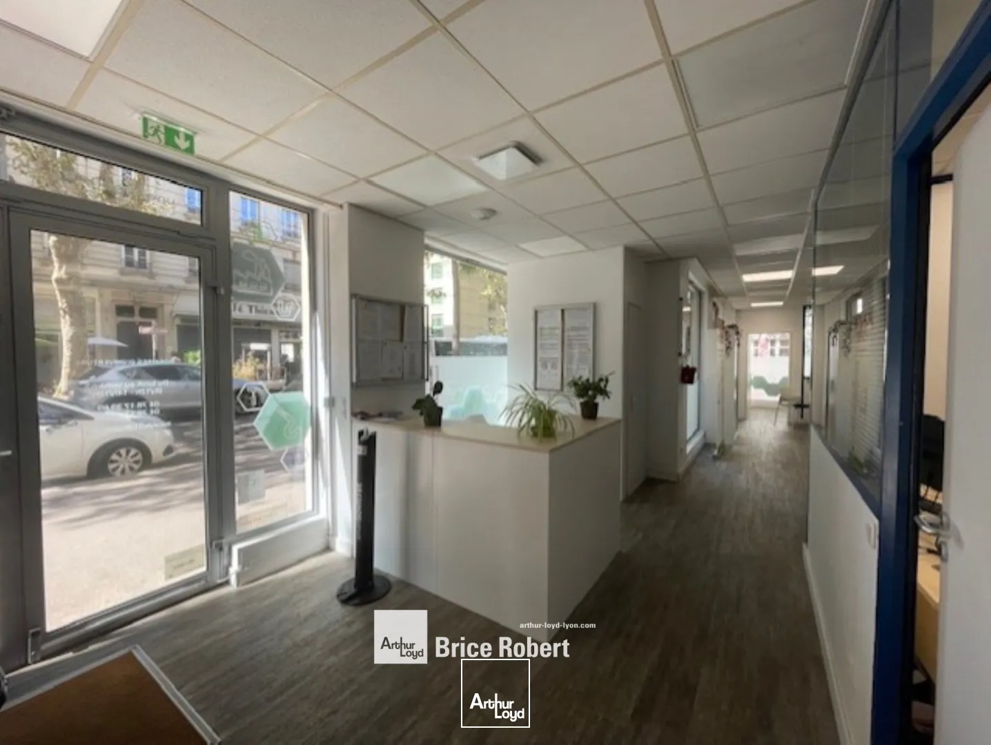 A louer - Bureaux lumineux en RDC - Villeurbanne 