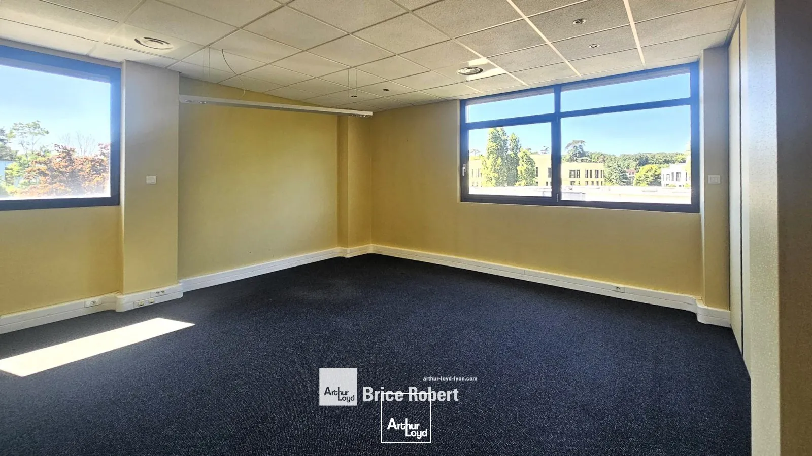 A louer - LE CARRE D'ARGENT - Bureaux en étage élevé sur la Techlid - Champagne au Mont d'Or