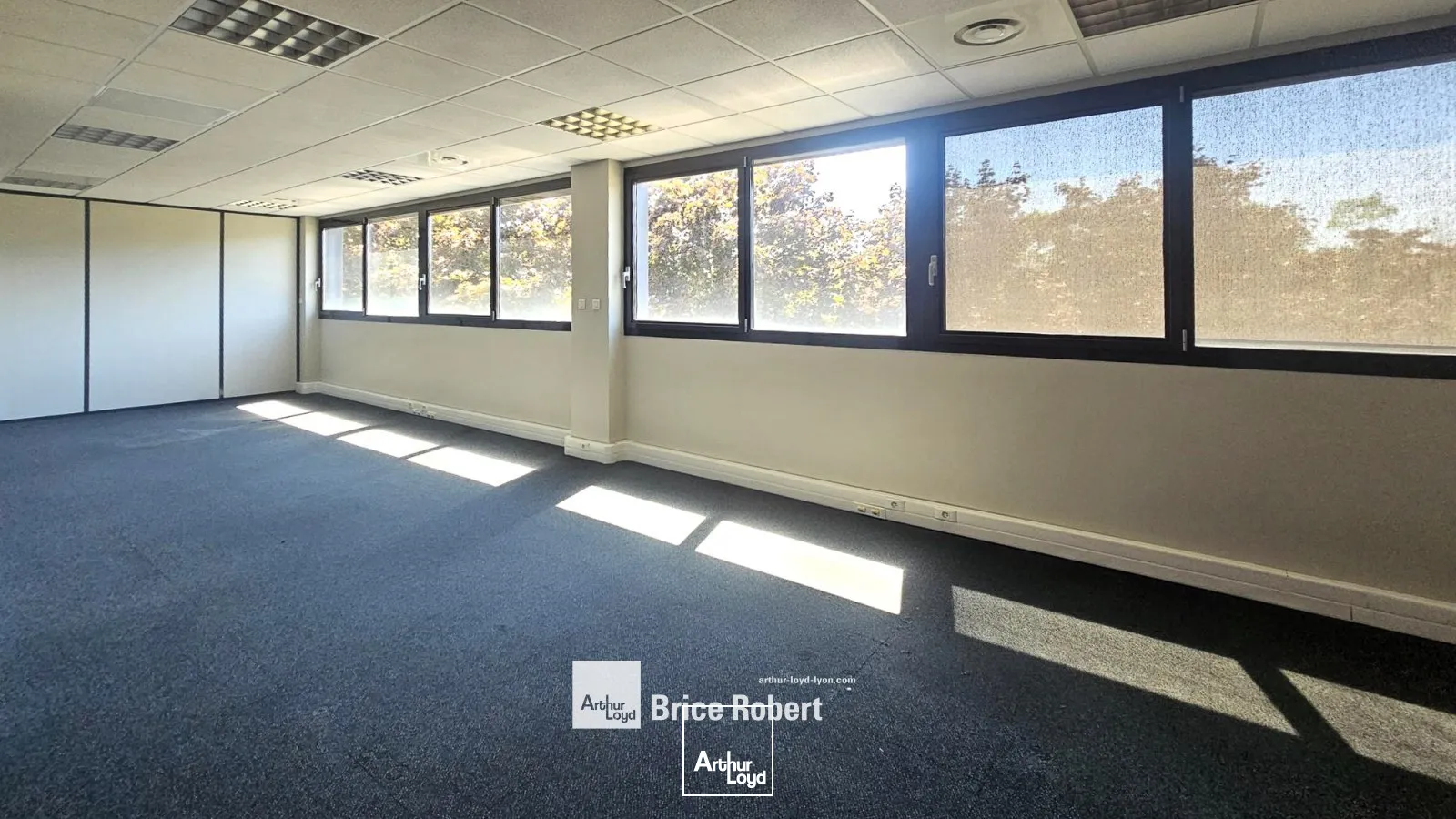 A louer - LE CARRE D'ARGENT - Bureaux en étage élevé sur la Techlid - Champagne au Mont d'Or