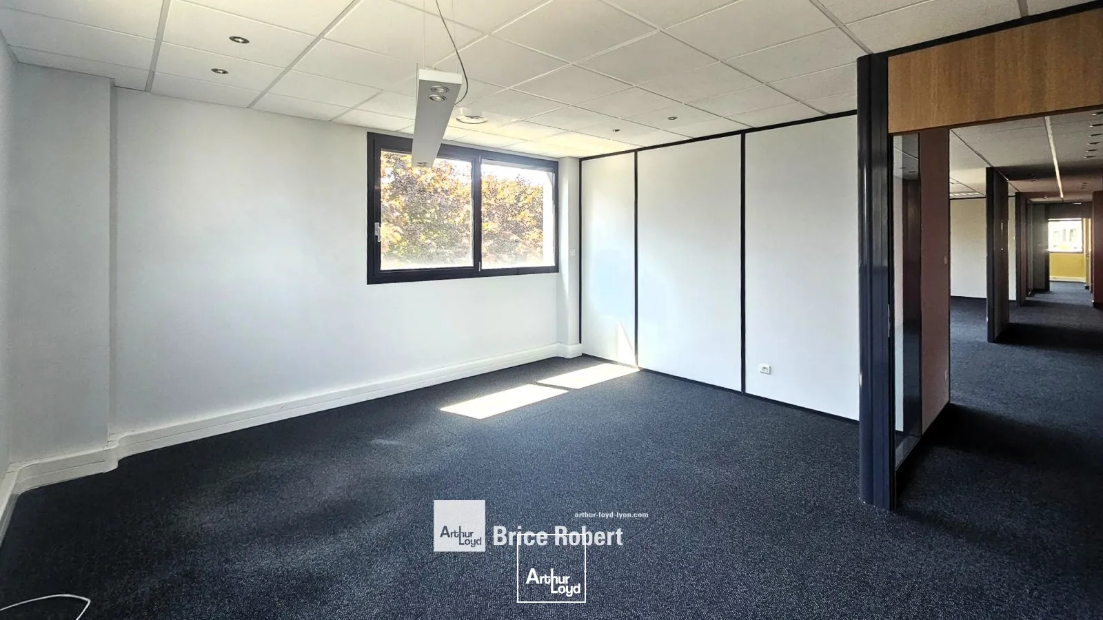 A louer - LE CARRE D'ARGENT - Bureaux en étage élevé sur la Techlid - Champagne au Mont d'Or