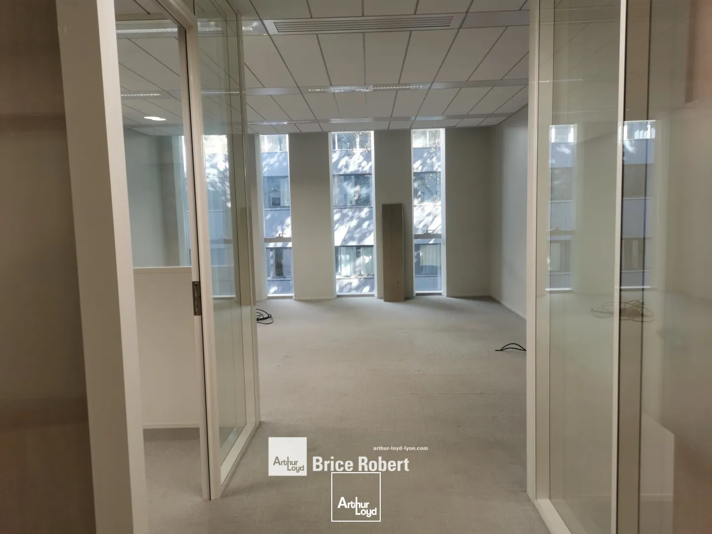 A louer - PARKVIEW - Bureaux en face du Parc de la Tête d'Or - Villeurbanne