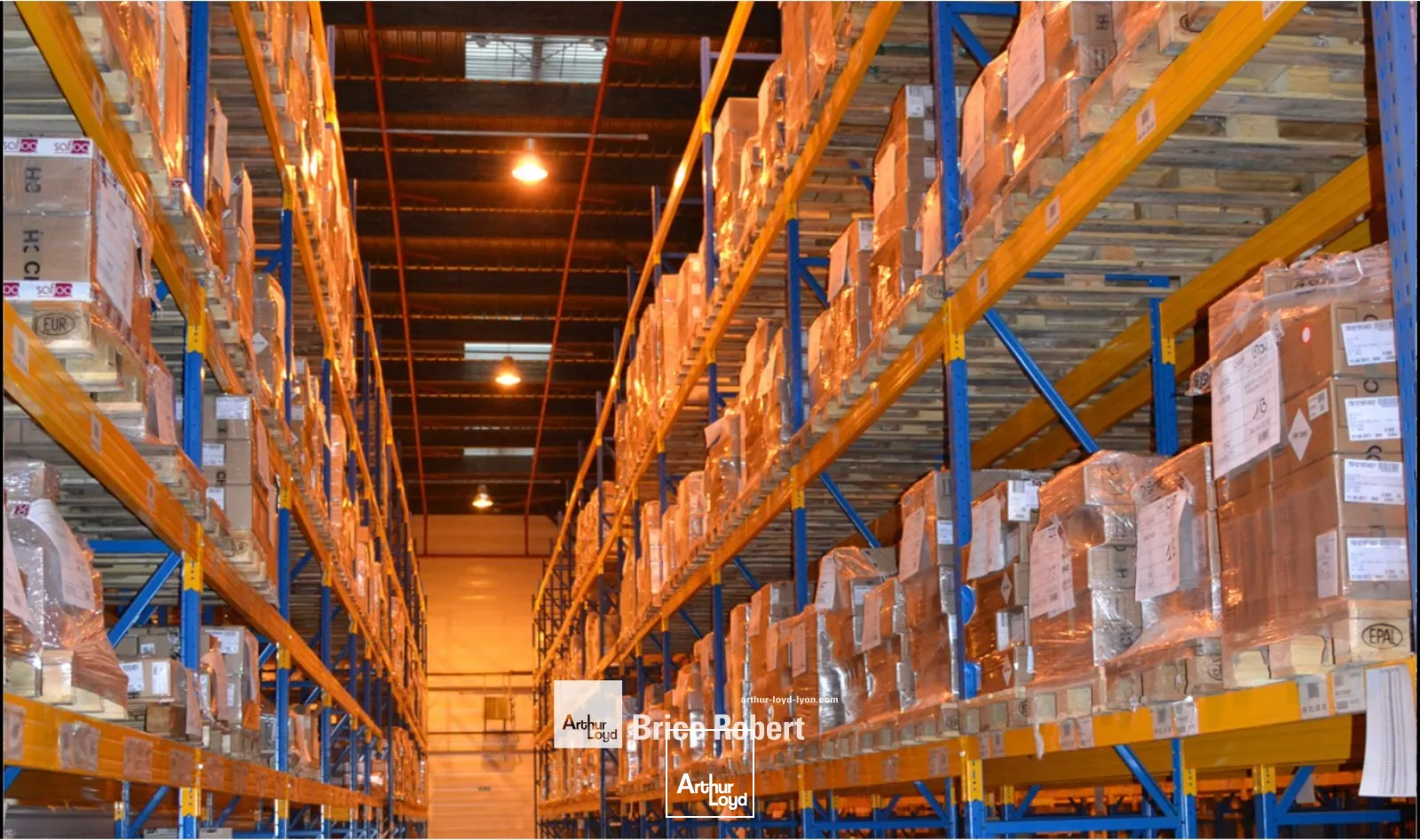 A louer - Entrepôt logistique de stockage avec ICPE - Genas