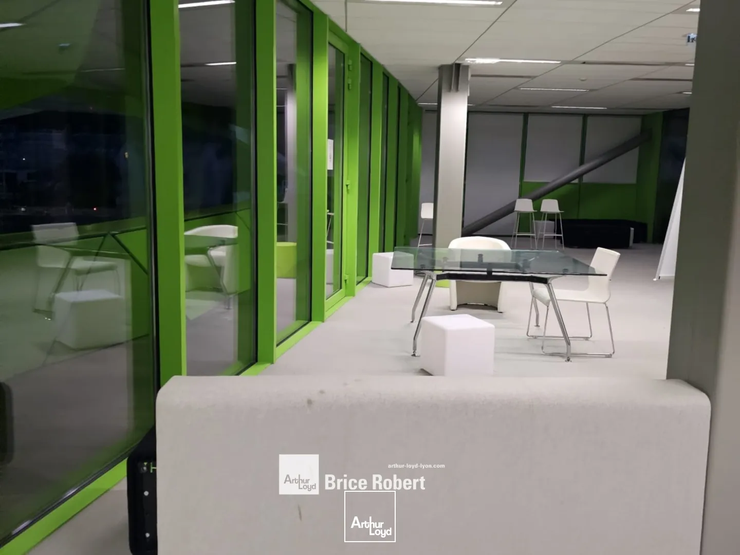 A louer - LE CUBE VERT - Bureaux aménagés - Lyon 2ème Confluence 