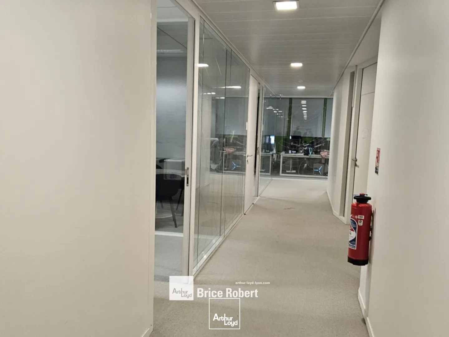 A louer - LE CUBE VERT - Bureaux aménagés - Lyon 2ème Confluence 