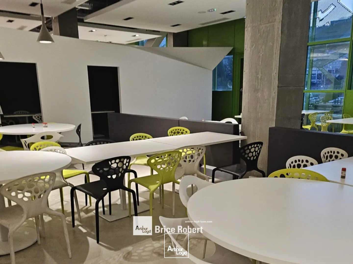 A louer - LE CUBE VERT - Bureaux aménagés - Lyon 2ème Confluence 