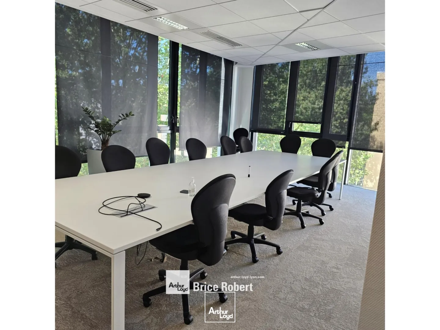 A louer - GALLINE - Bureaux avec une cour intérieure arborée - Villeurbanne 