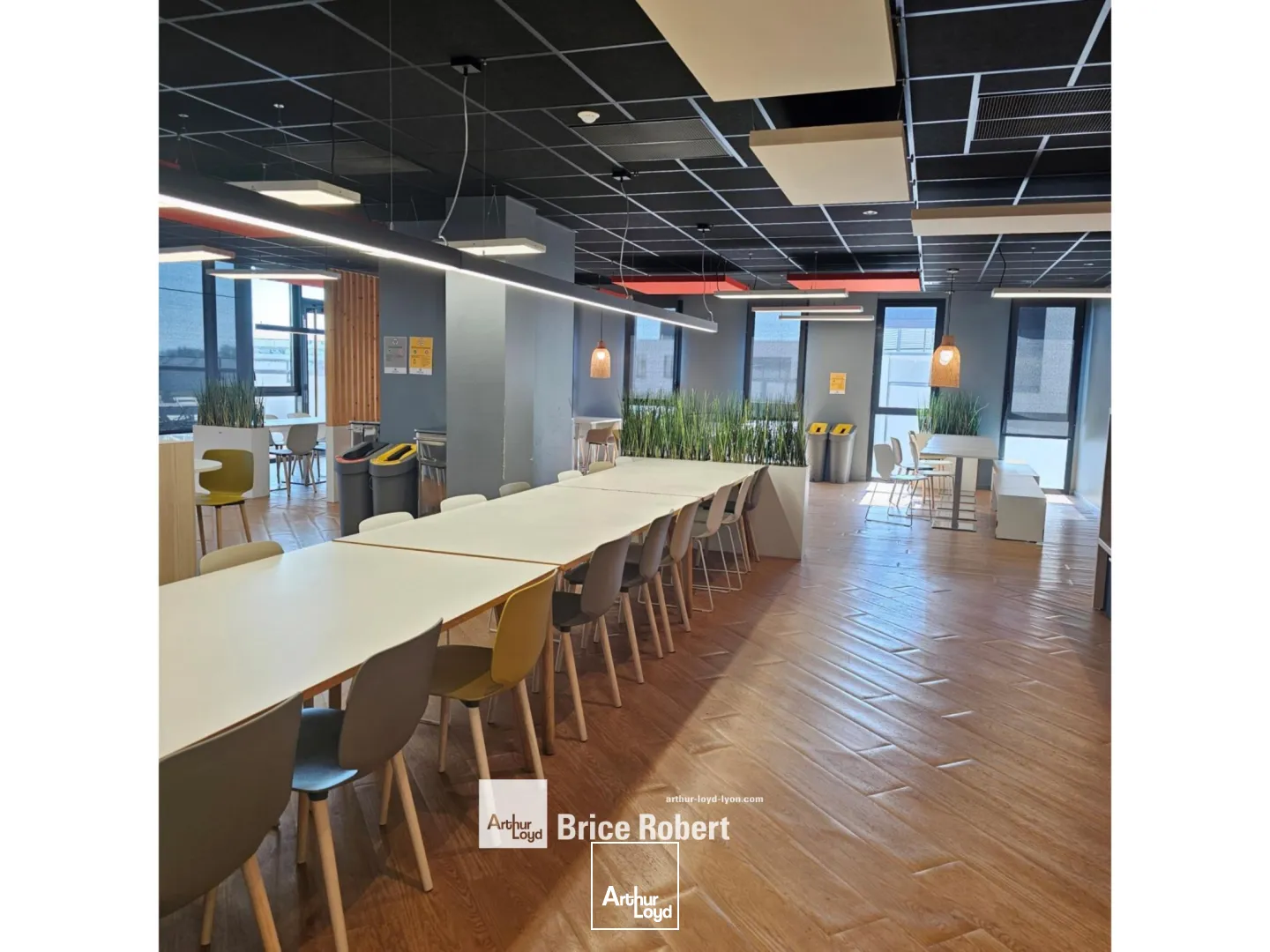 A louer - GALLINE - Bureaux avec une cour intérieure arborée - Villeurbanne 