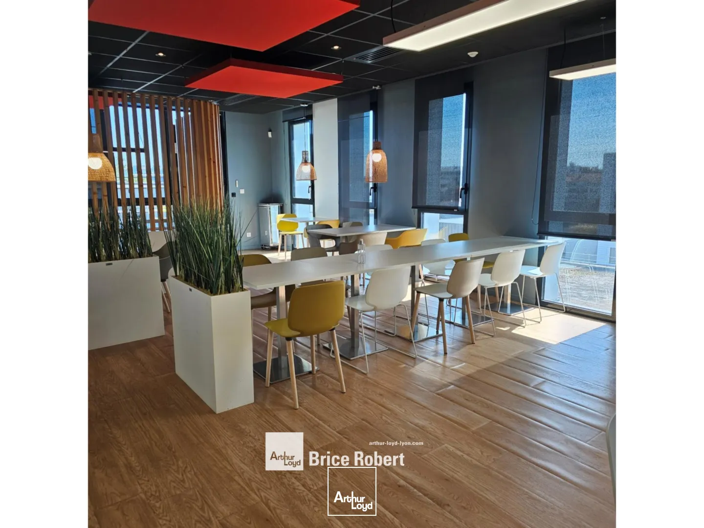 A louer - GALLINE - Bureaux avec une cour intérieure arborée - Villeurbanne 