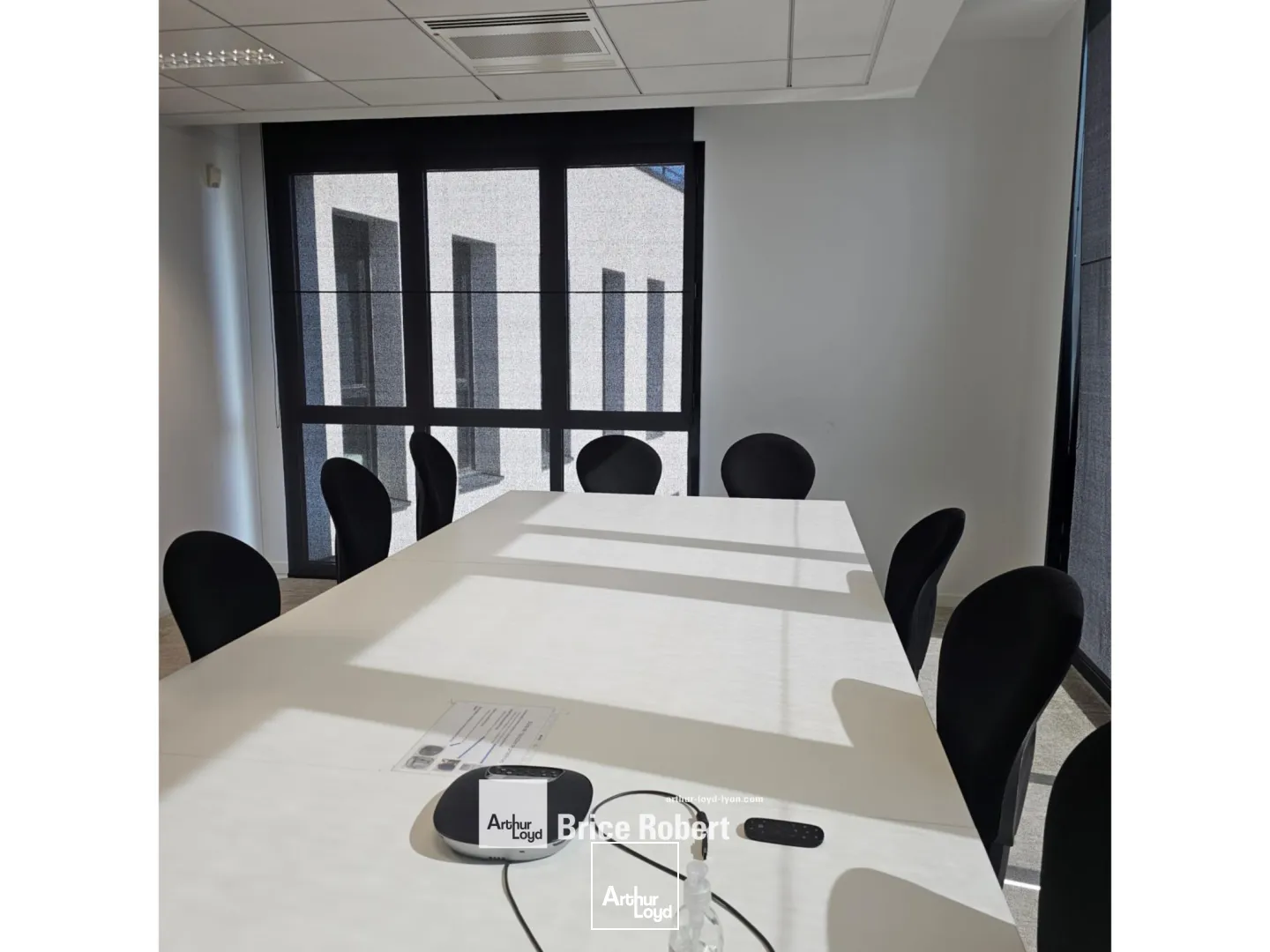 A louer - GALLINE - Bureaux avec une cour intérieure arborée - Villeurbanne 