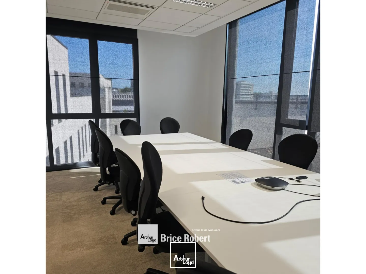 A louer - GALLINE - Bureaux avec une cour intérieure arborée - Villeurbanne 