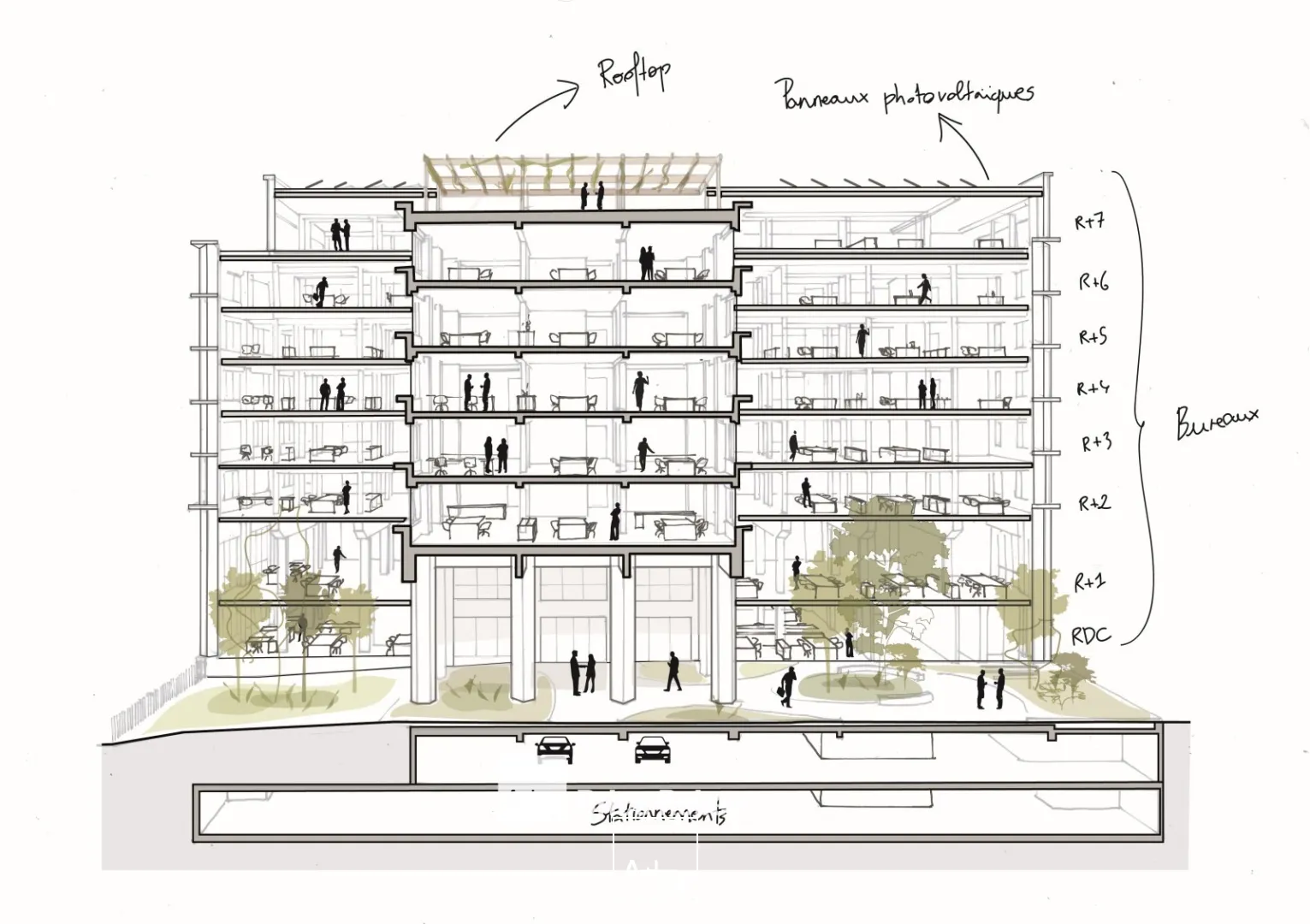 A vendre et à louer - VIA NOVA - Bureaux neufs prestigieux - Lyon 6ème