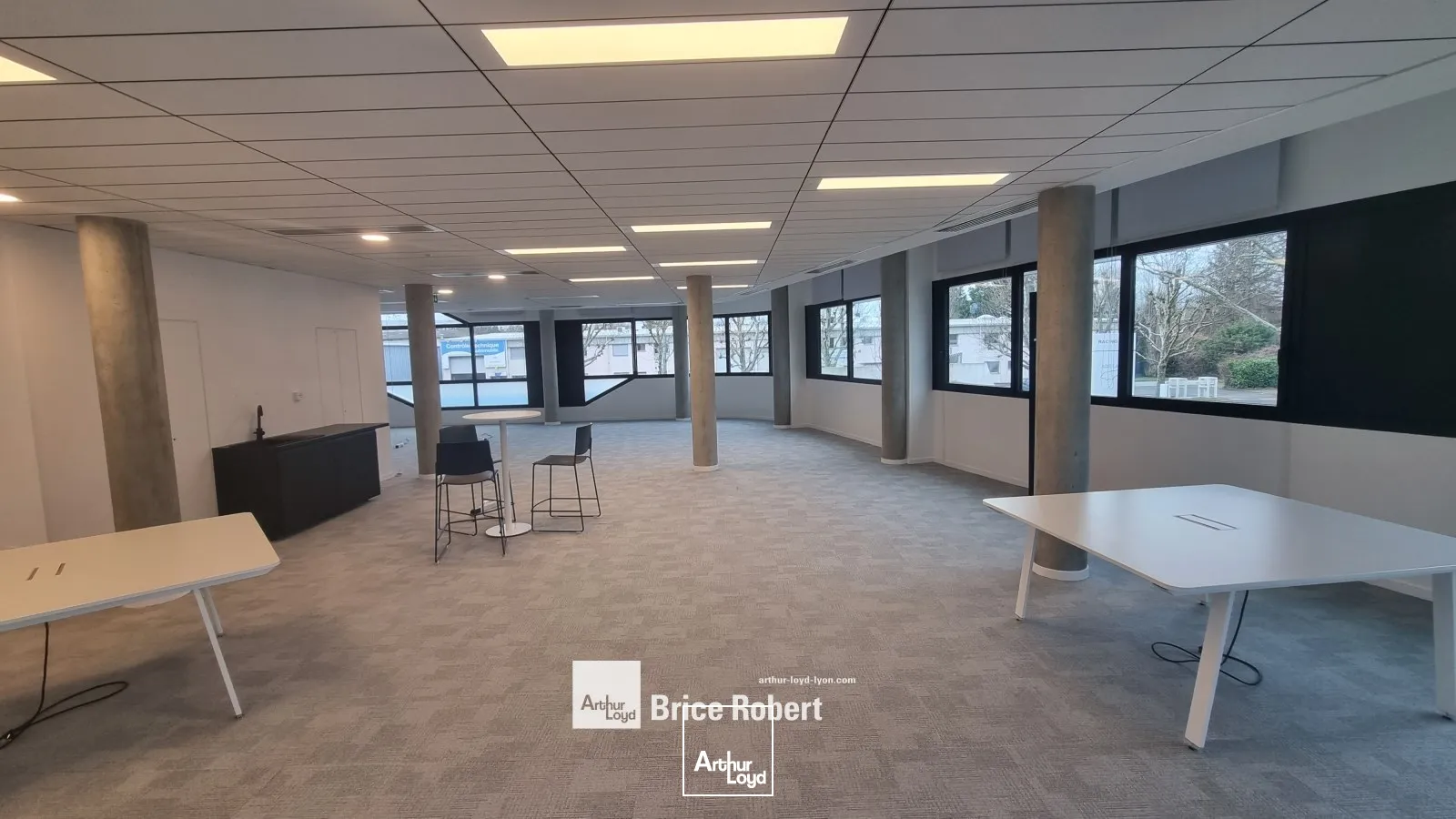 A louer - RACING PARC bâtiment Adelaide - Bureaux sur la Techlid très lumineux - Champagne au Mont d'Or