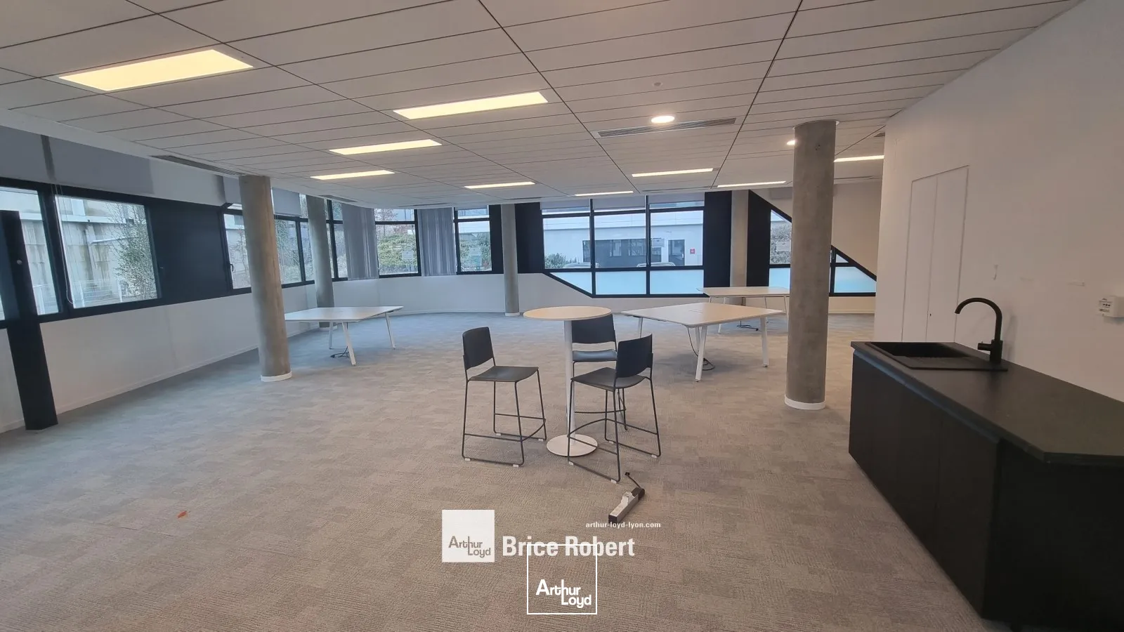 A louer - RACING PARC bâtiment Adelaide - Bureaux sur la Techlid très lumineux - Champagne au Mont d'Or