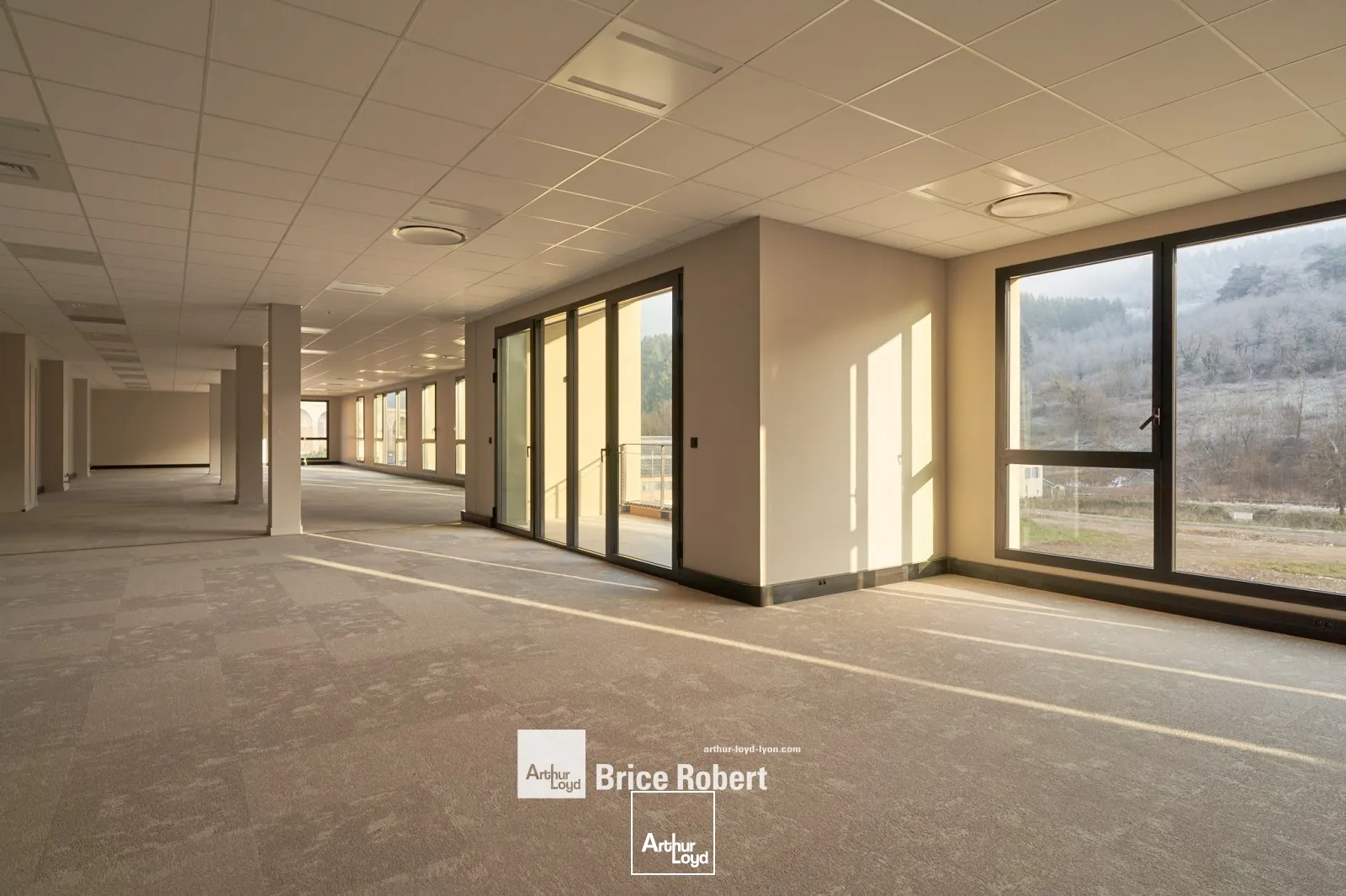 A vendre ou à louer - Cellules d'activités avec une hauteur de 6 m - Tarare