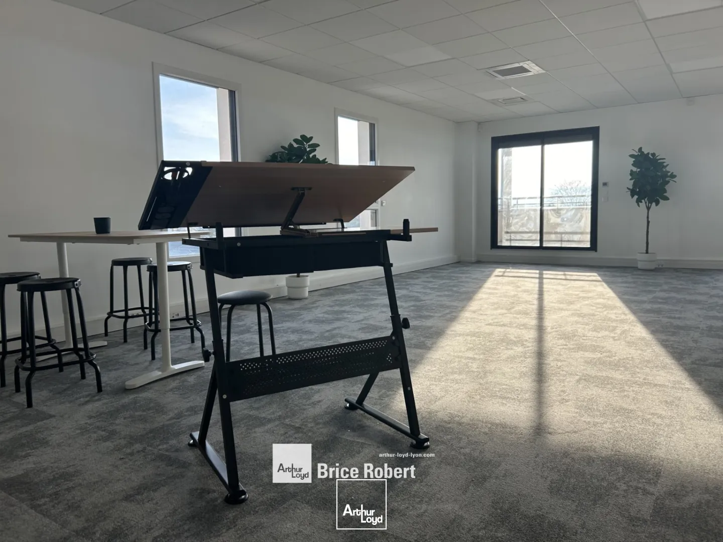 A louer - STRATTON I - Bureaux de bon standing - Dardilly