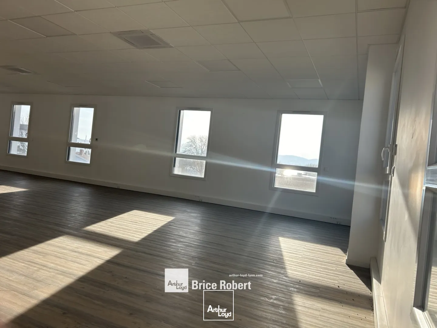 A louer - STRATTON I - Bureaux de bon standing - Dardilly