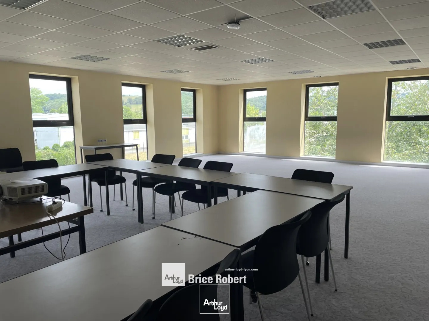 A LOUER - Bâtiment industriel - NIVOLAS VERMELLE