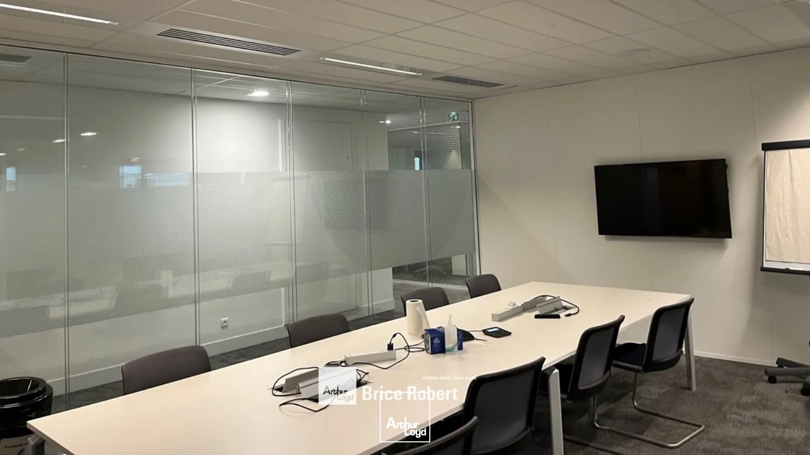 A louer - SADENA - Bureaux spacieux et fonctionnels - Villeurbanne