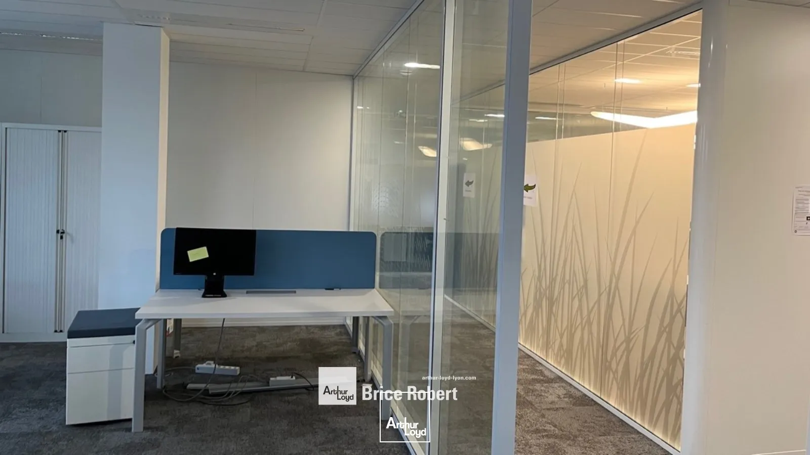 A louer - SADENA - Bureaux spacieux et fonctionnels - Villeurbanne