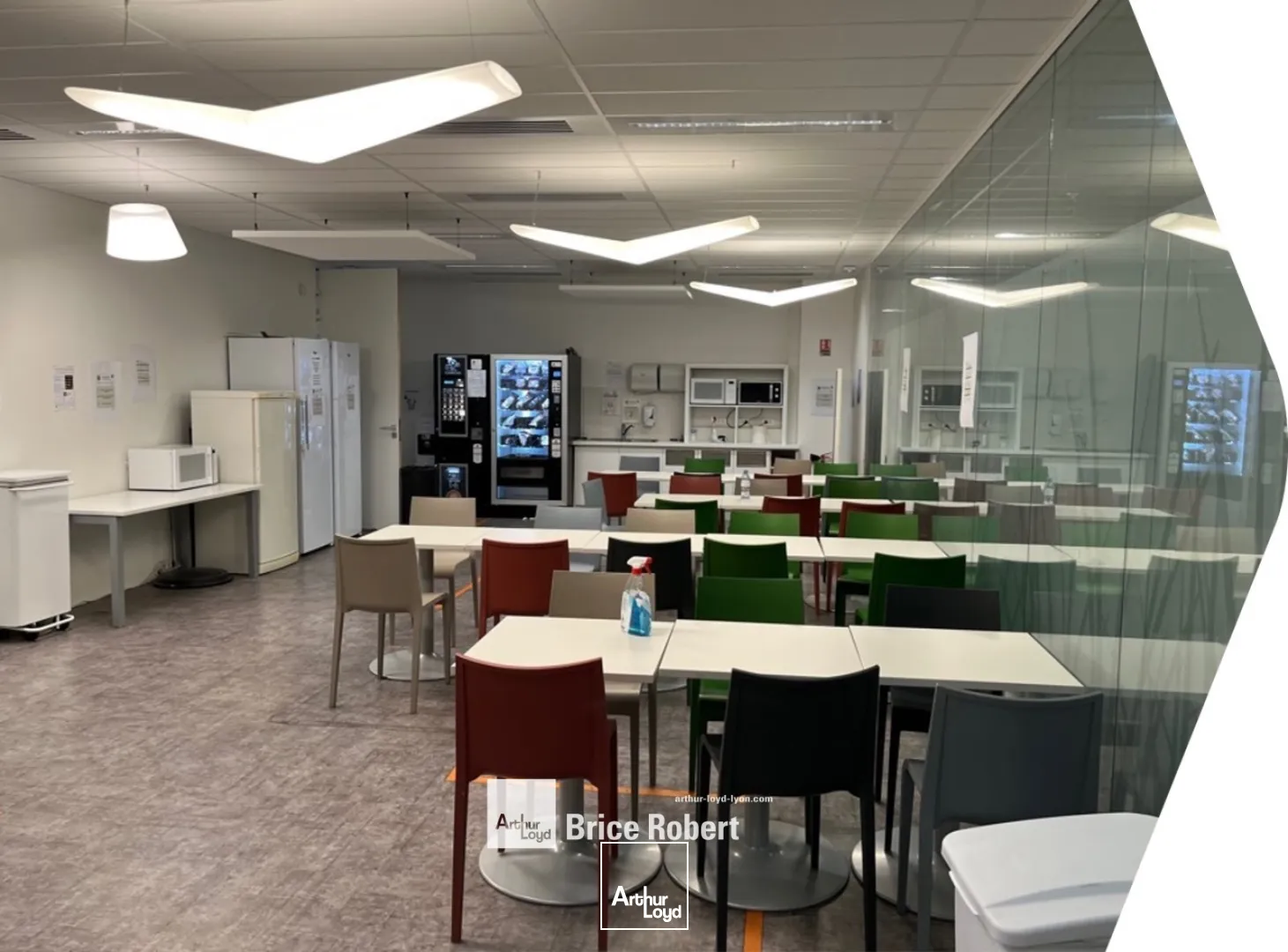 A louer - SADENA - Bureaux spacieux et fonctionnels - Villeurbanne