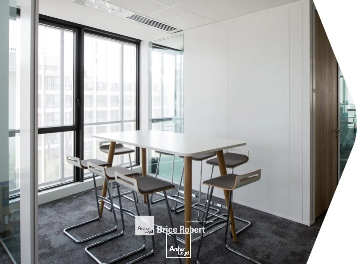 A louer - SADENA - Bureaux spacieux et fonctionnels - Villeurbanne