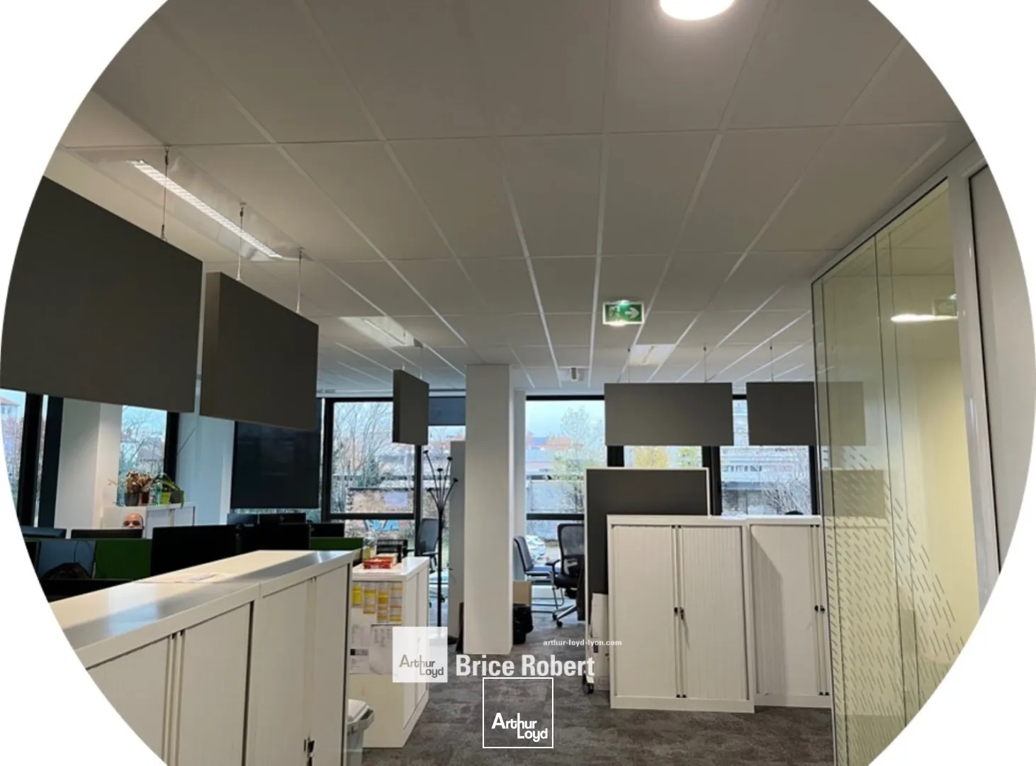 A louer - SADENA - Bureaux spacieux et fonctionnels - Villeurbanne