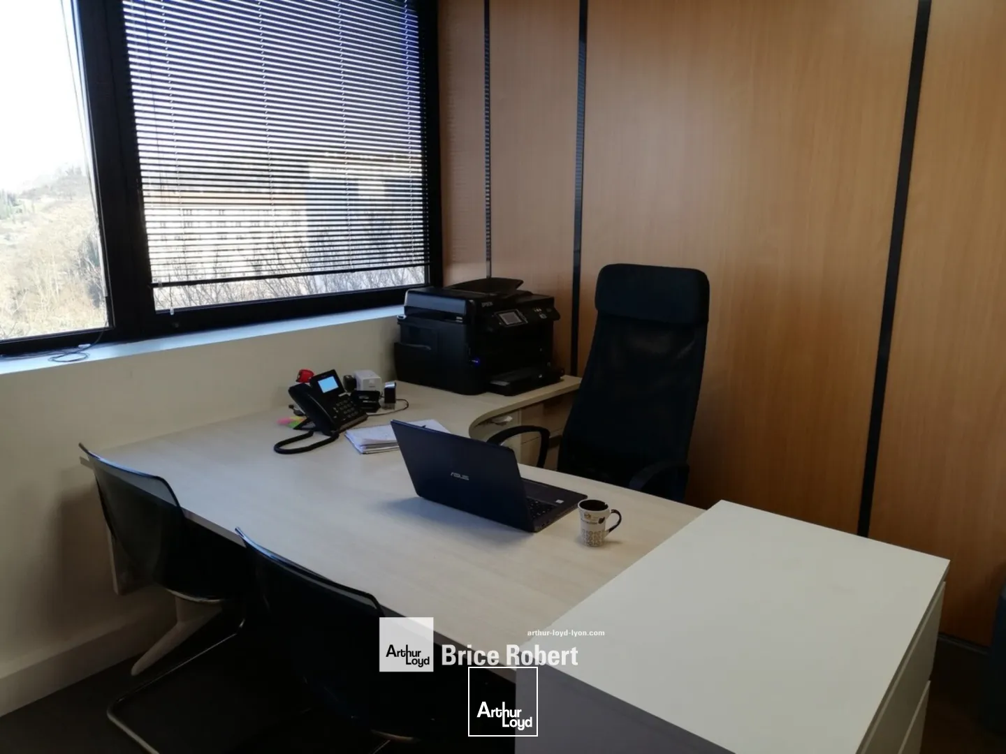 A vendre - LES NYMPHEAS - Bureaux lumineux - Lyon 9ème Vaise