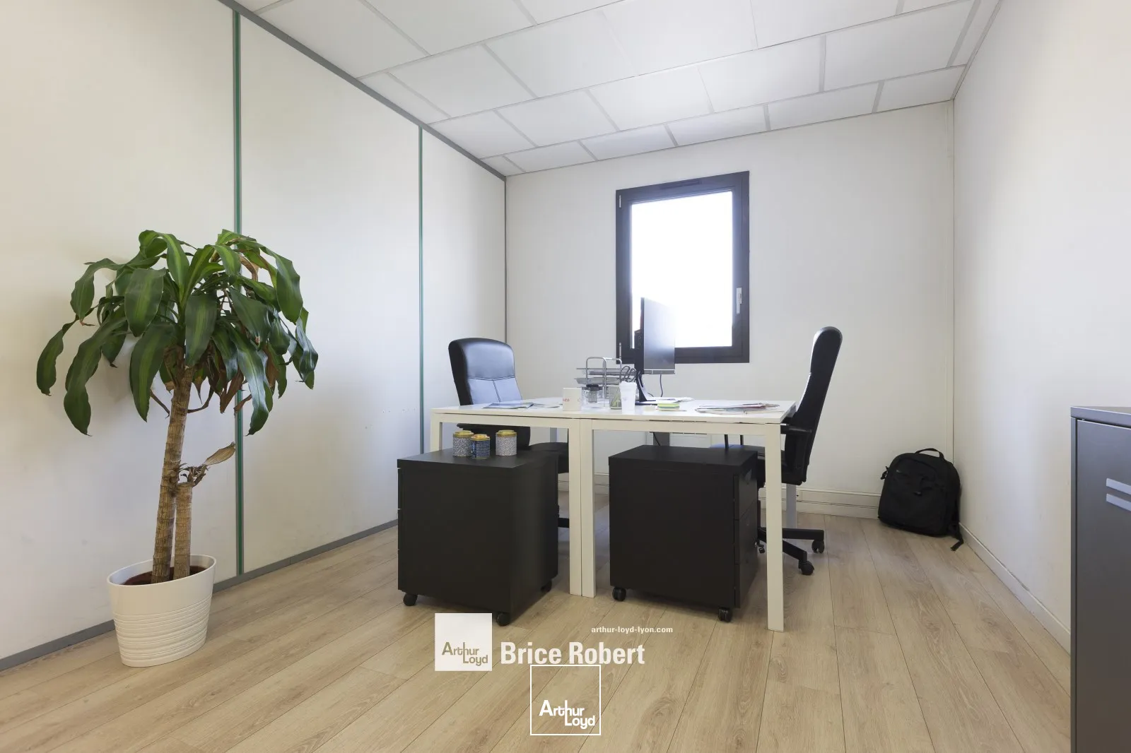 A vendre - LES MAISONS D'ENTREPRISES - Bureaux lumineux - Lyon 9ème