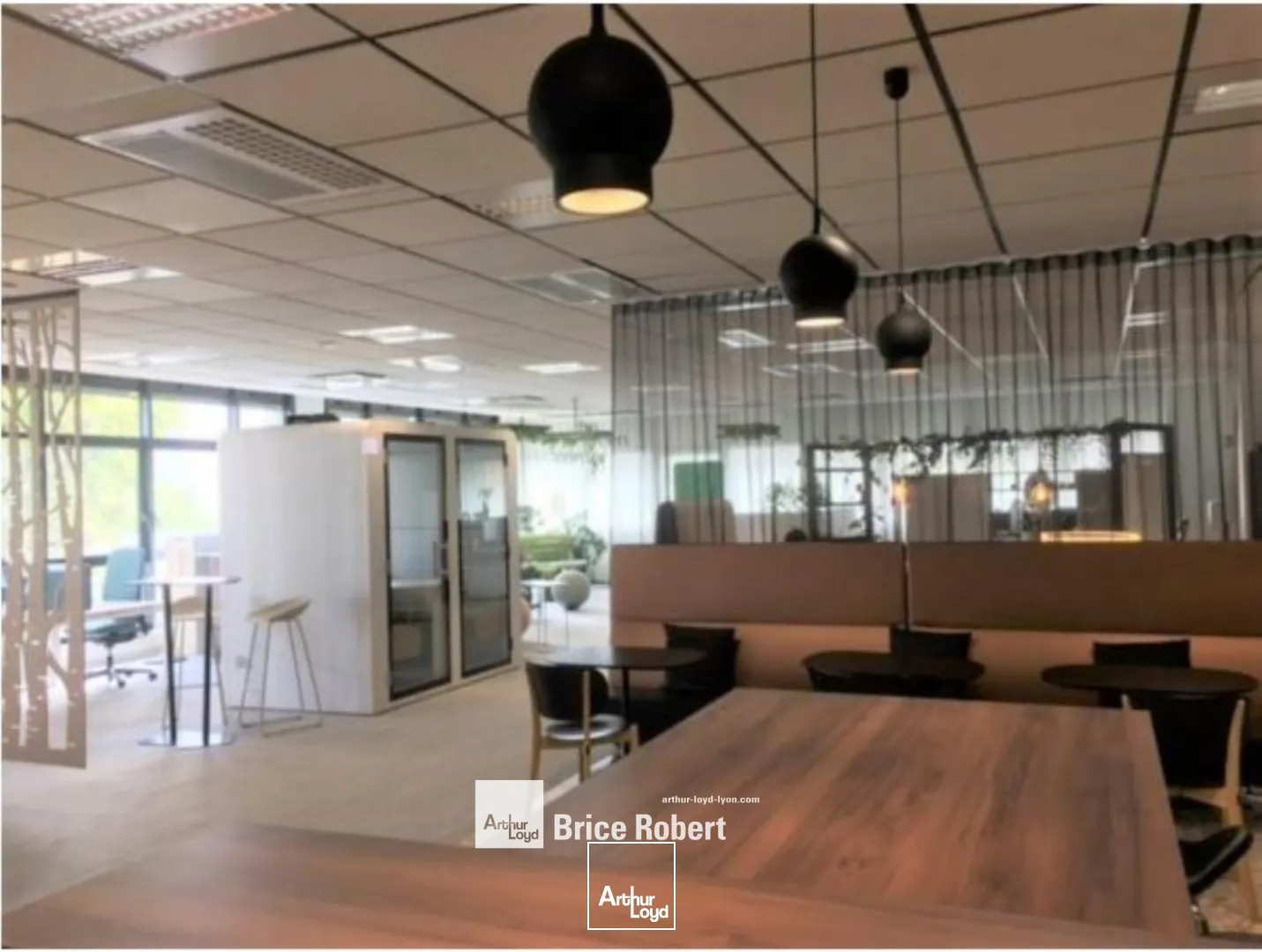 A louer - LE CRAB - Bureaux spacieux - Lyon 7ème